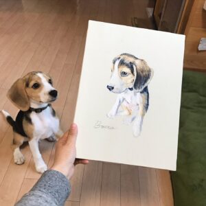 Bruno Beagle Puppies